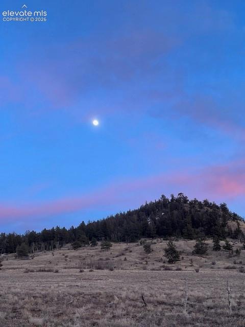 Image 2 of 33: Expansive natural landscape with a prominent hillside covered in mature eve