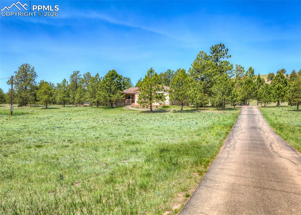 Image 45 of 50: Asphalt driveway is easy to maintain.
