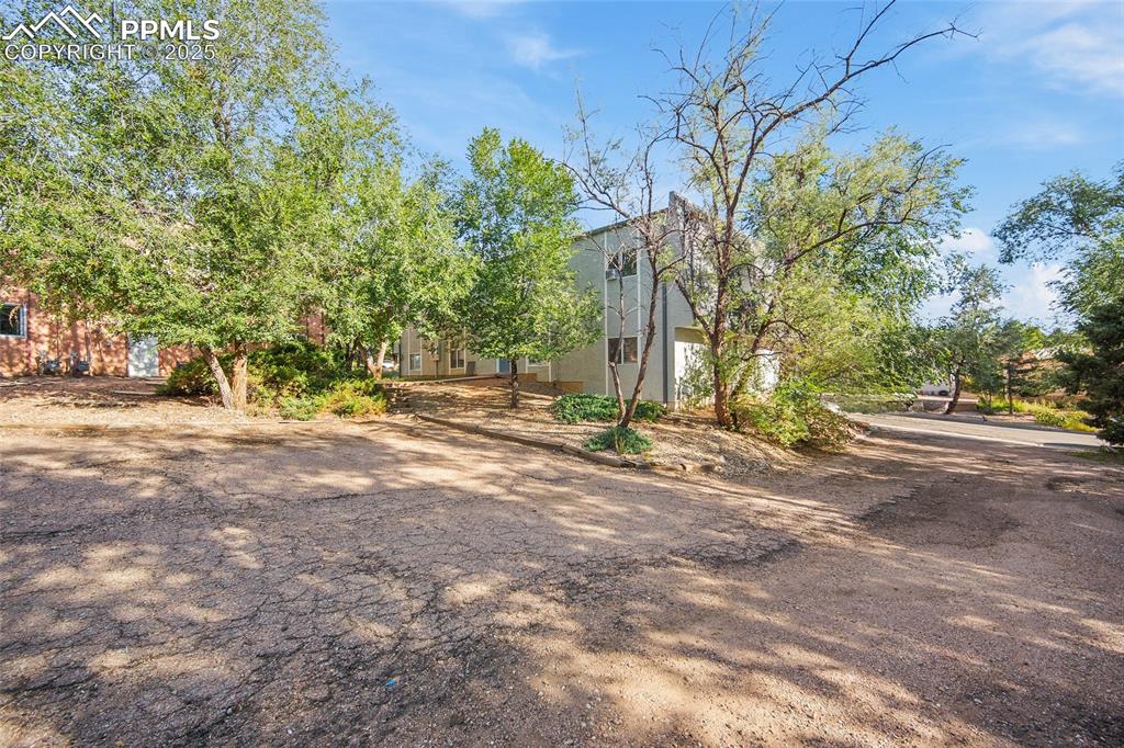 Image 5 of 28: View of yard