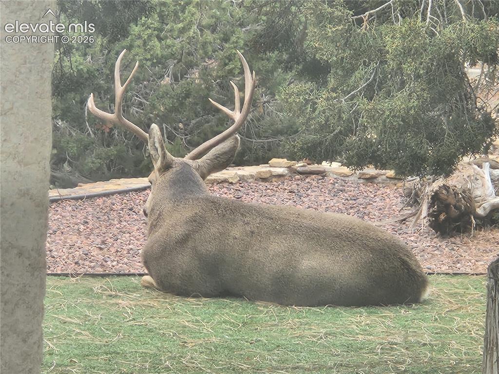 Image 49 of 50: Enjoy wildlife