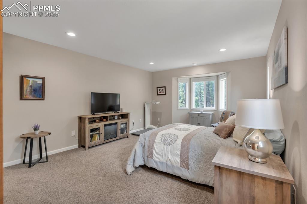 Image 20 of 50: Carpeted bedroom with recessed lighting and baseboards