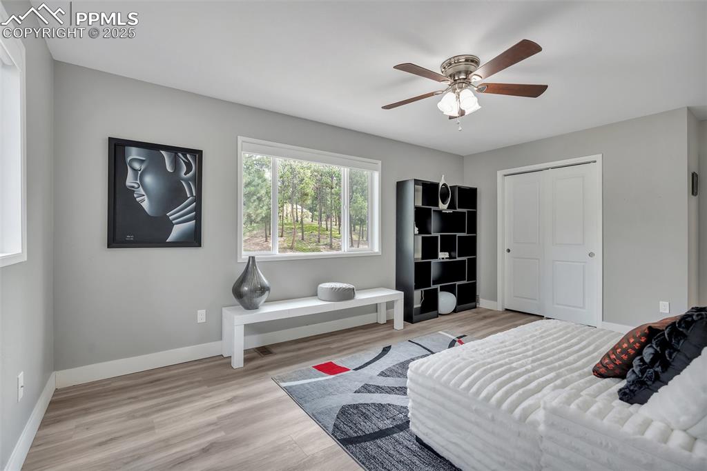 Image 29 of 50: Bedroom featuring wood finished floors and ceiling fan