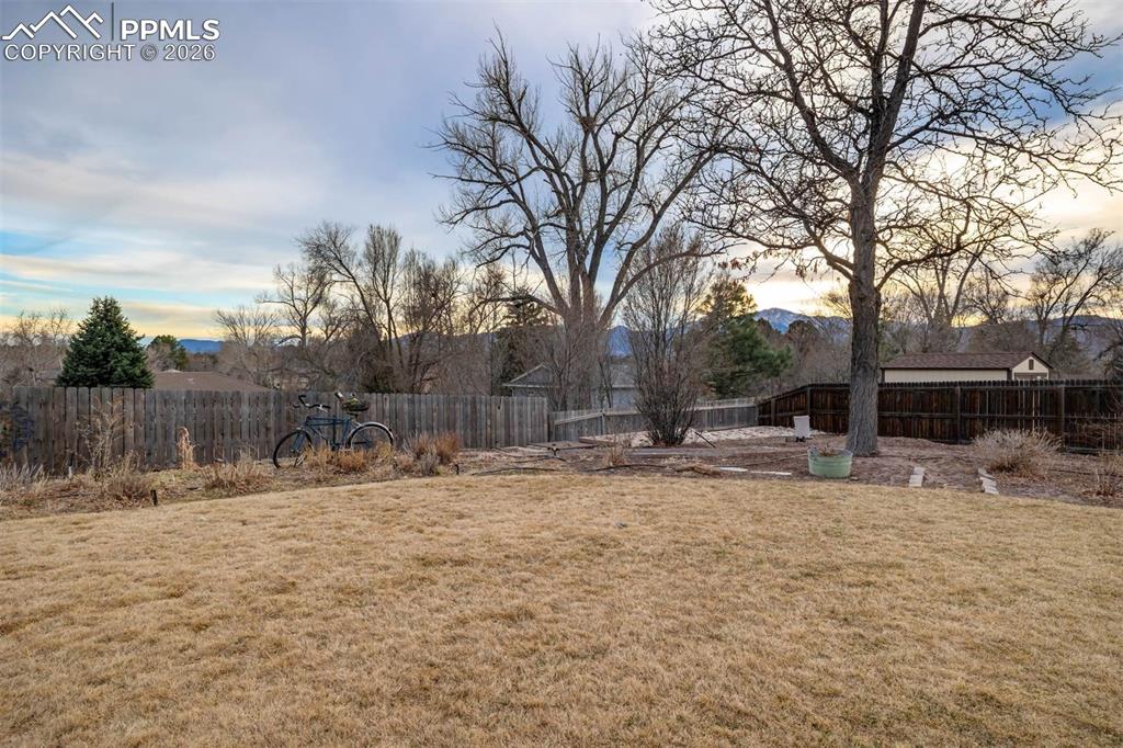 Image 44 of 50: Yard