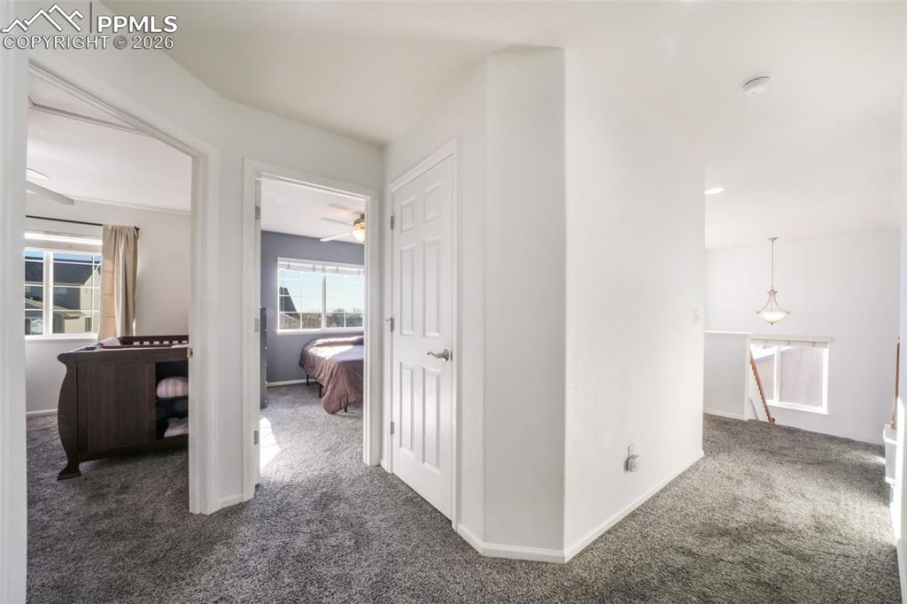 Image 22 of 50: Other