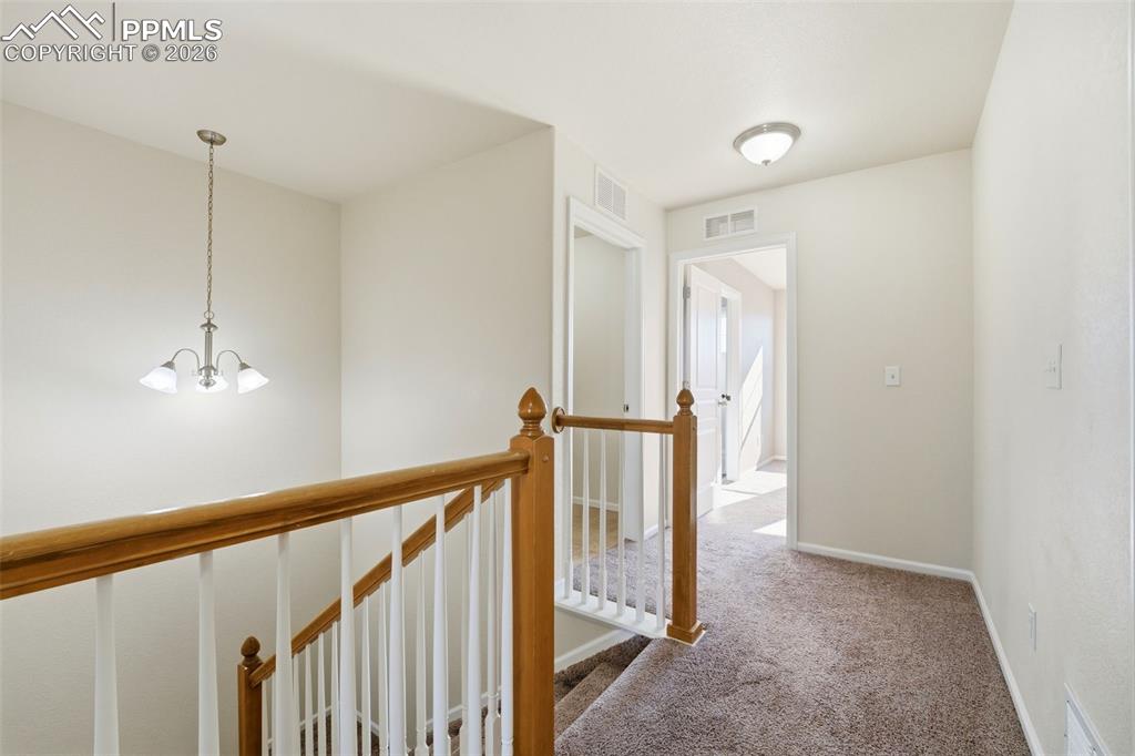 Image 22 of 50: Other