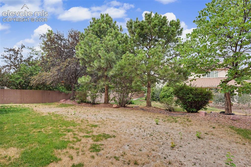 Image 37 of 47: Expansive backyard featuring a brown privacy fence, mature trees, and lands