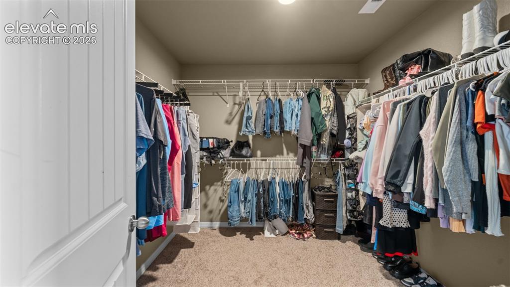 Image 27 of 41: Walk-in closet featuring carpet flooring, built-in wire shelving, hanging r