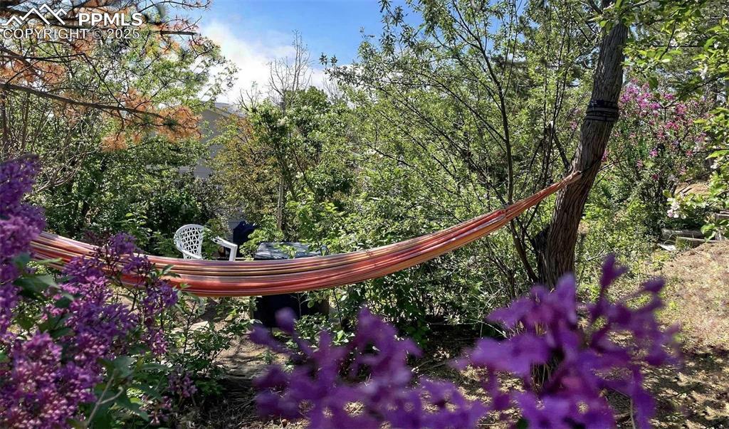 Image 30 of 45: View of yard.
Hammock not included.