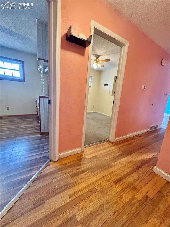 Image 14 of 50: Other