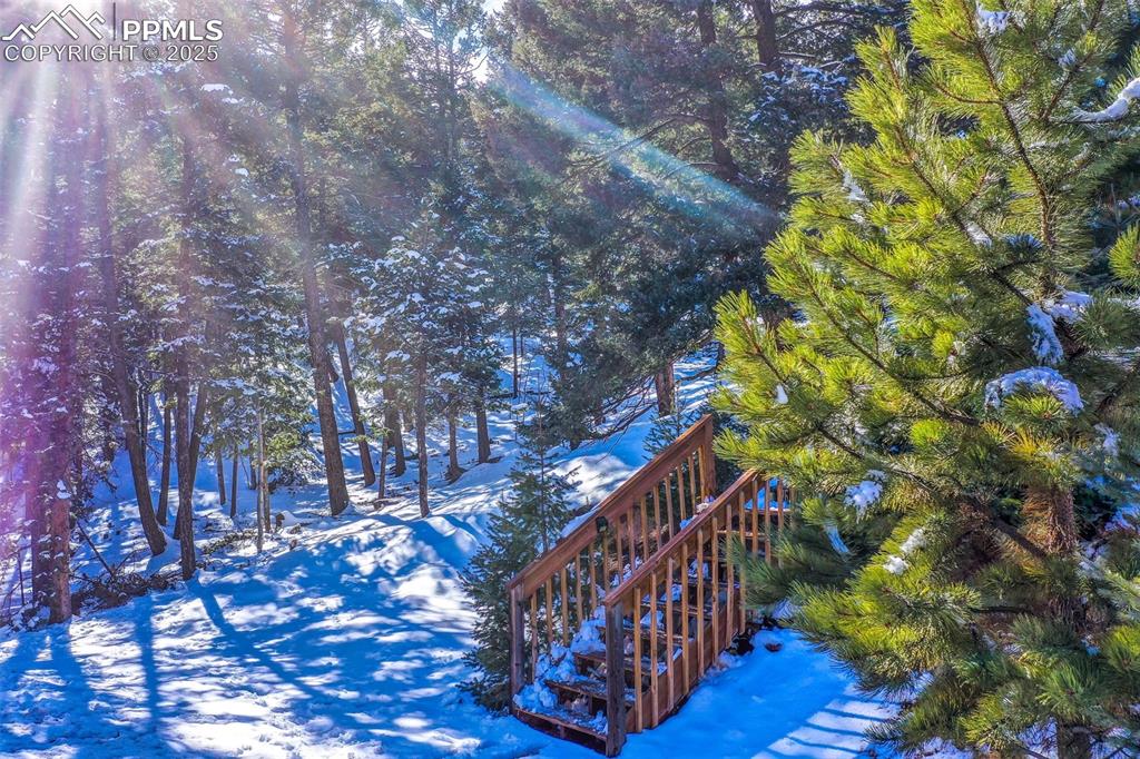 Image 41 of 41: Other