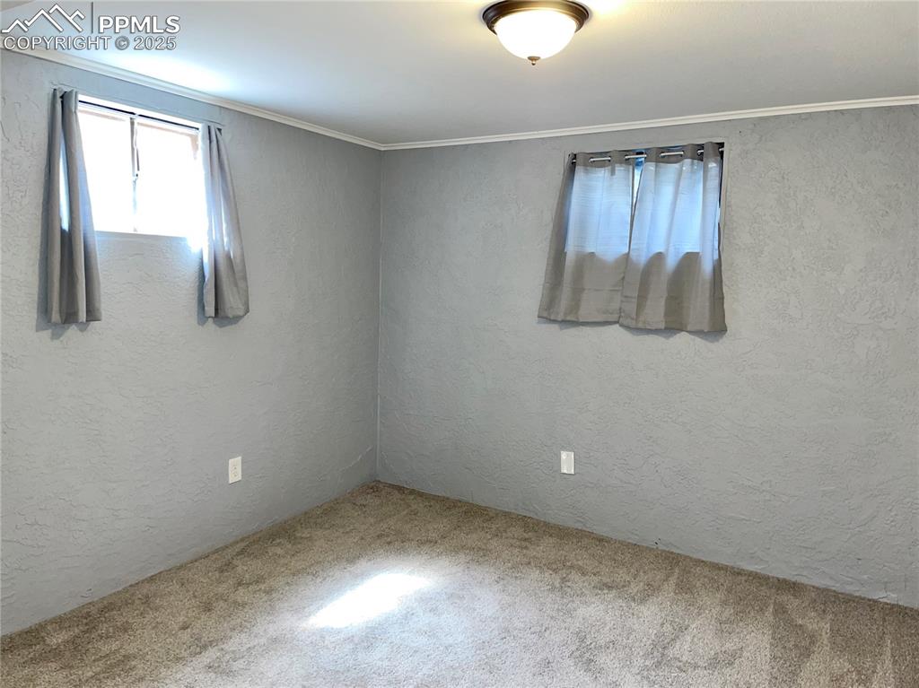 Image 22 of 23: Empty room featuring a textured wall, carpet floors, and ornamental molding