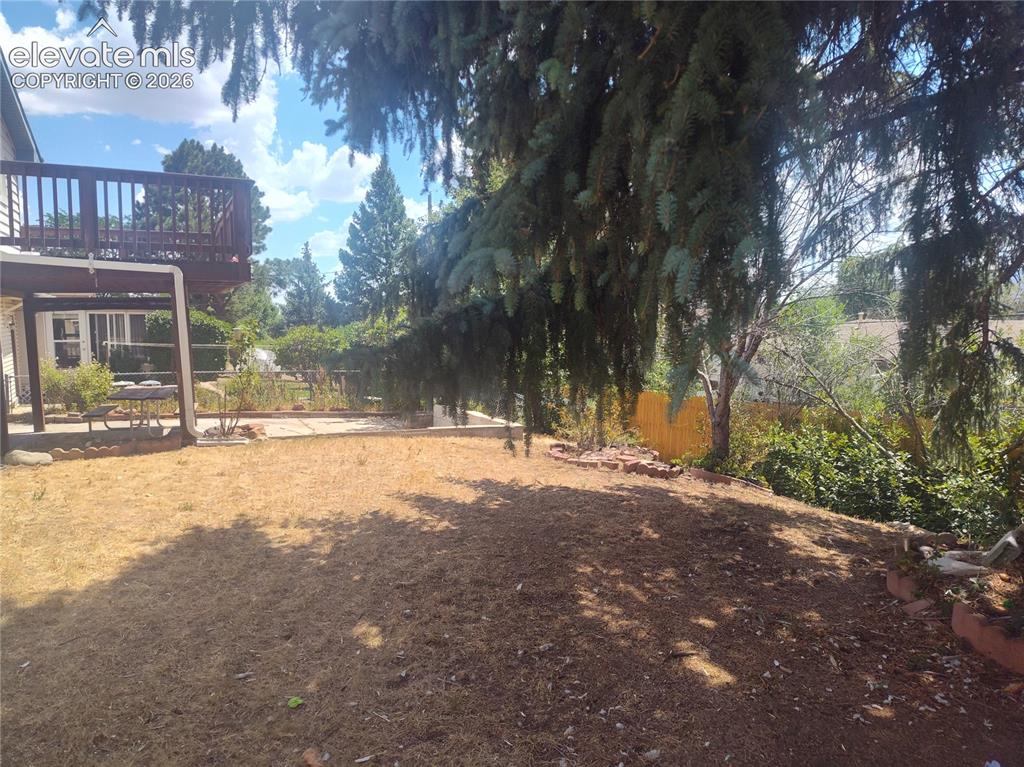 Image 16 of 18: Backyard