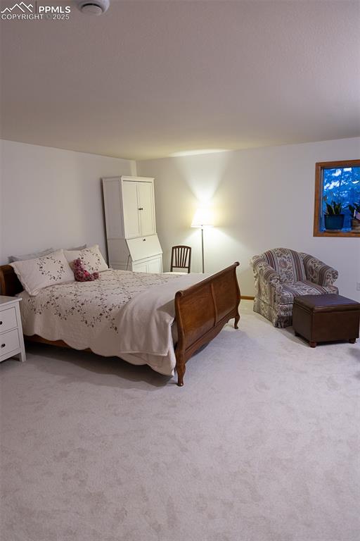 Image 24 of 47: Spacious basement bedroom with walk in closet.