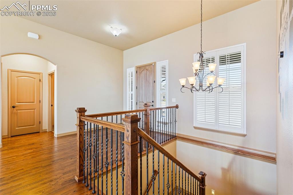 Image 9 of 50: Other