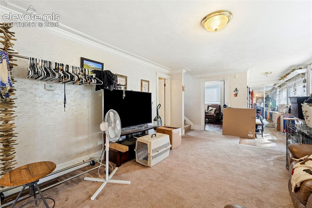 Image 10 of 35: Carpeted flooring extending throughout, crown molding detailing, and a ceil