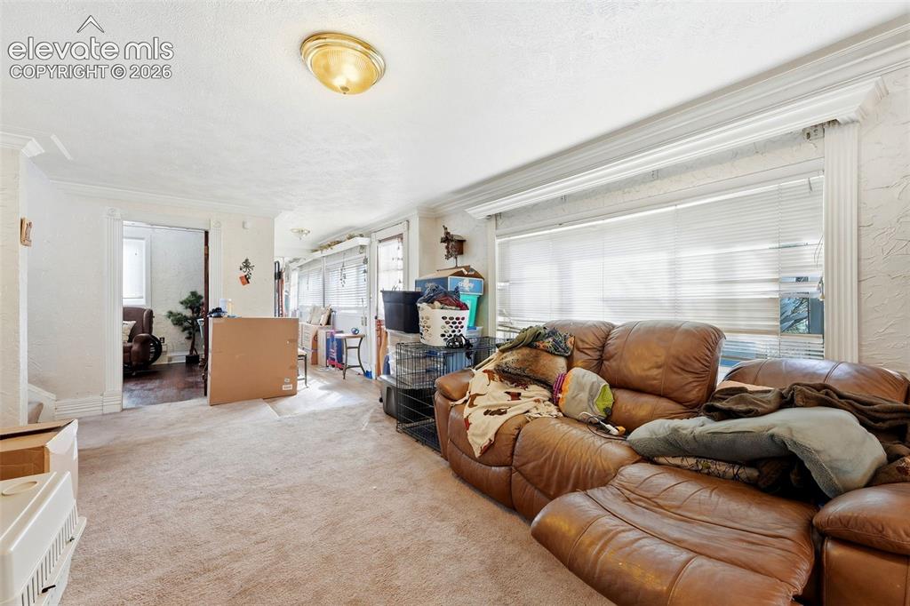 Image 11 of 35: Carpeted room with a flush mount ceiling light fixture, crown molding, and 