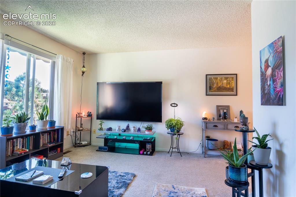 Image 14 of 22: Living Room