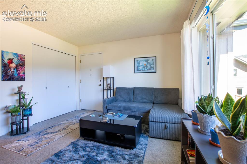Image 16 of 22: Living Room