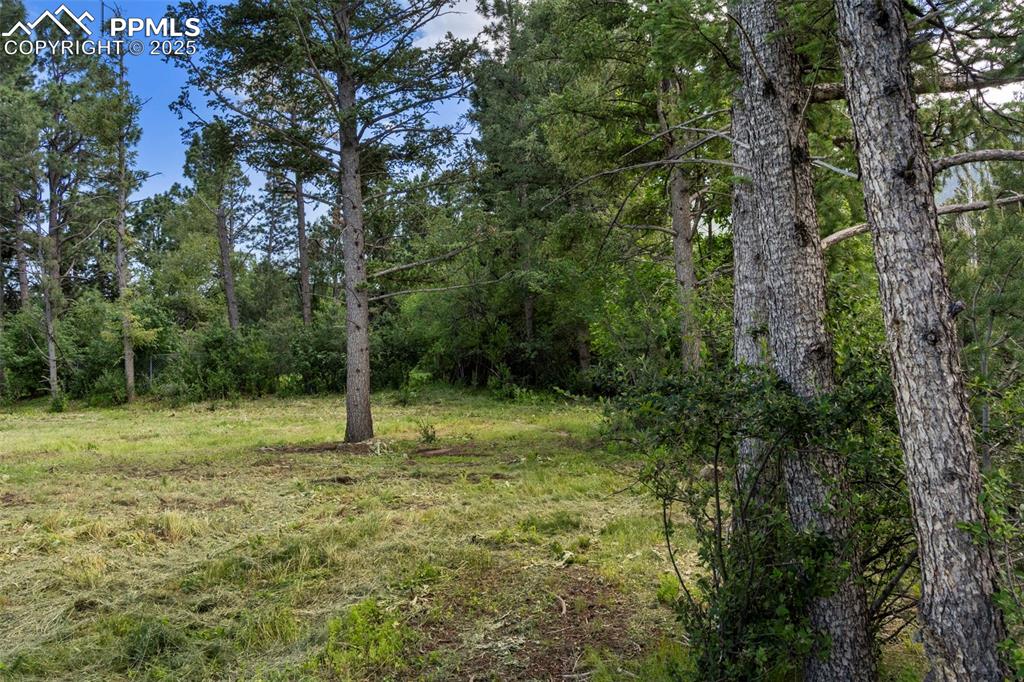 Image 10 of 15: Other