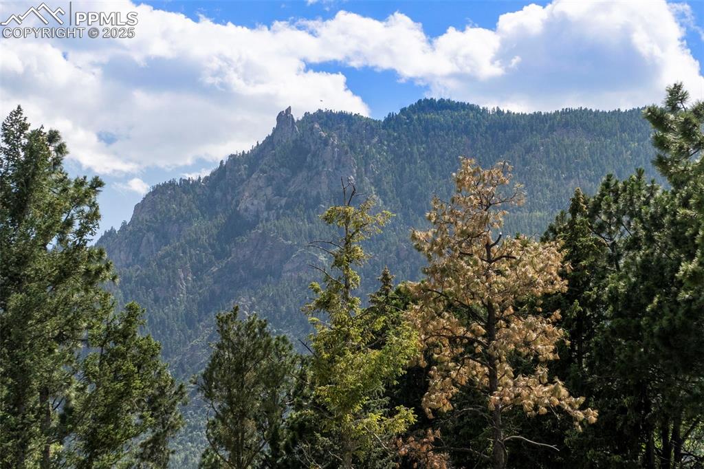 Image 11 of 15: View