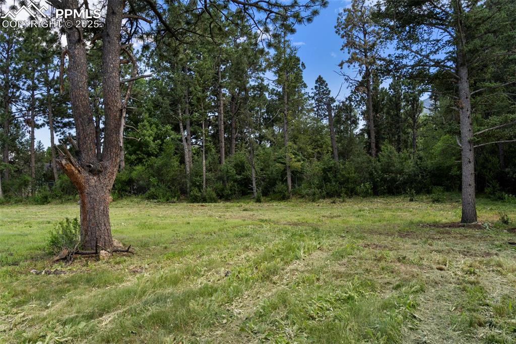 Image 8 of 15: Other