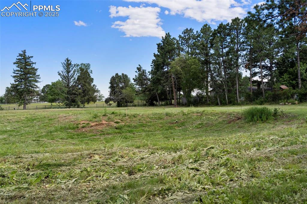 Image 9 of 15: Other