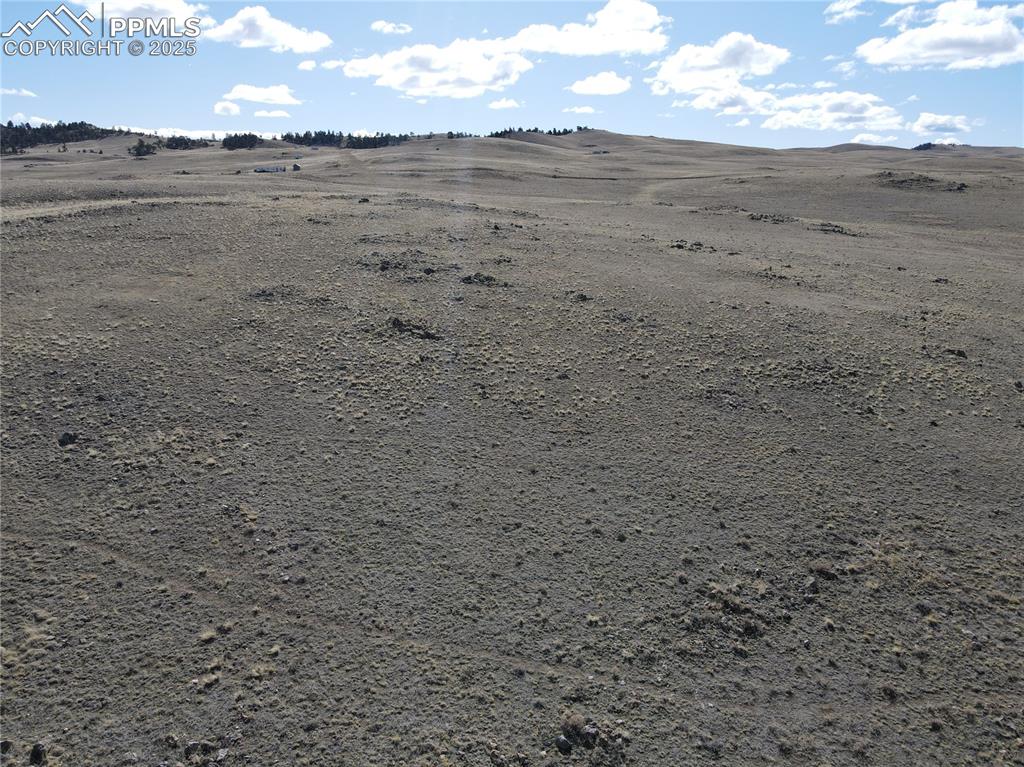 Image 6 of 10: Other