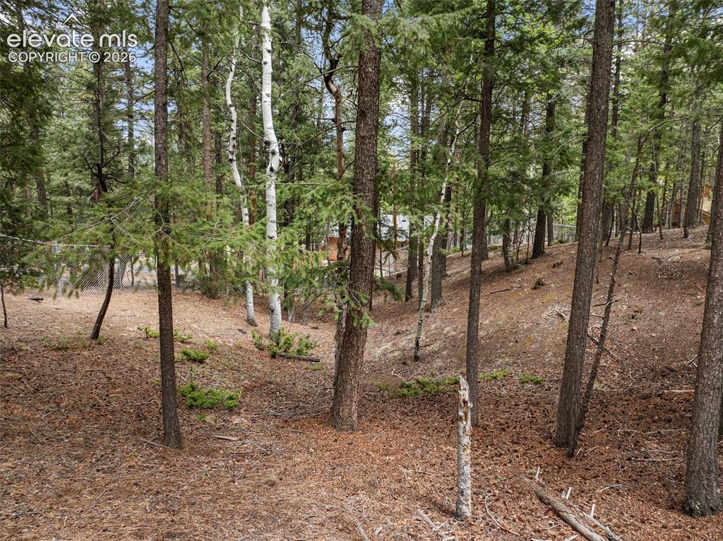 Image 8 of 49: Yard