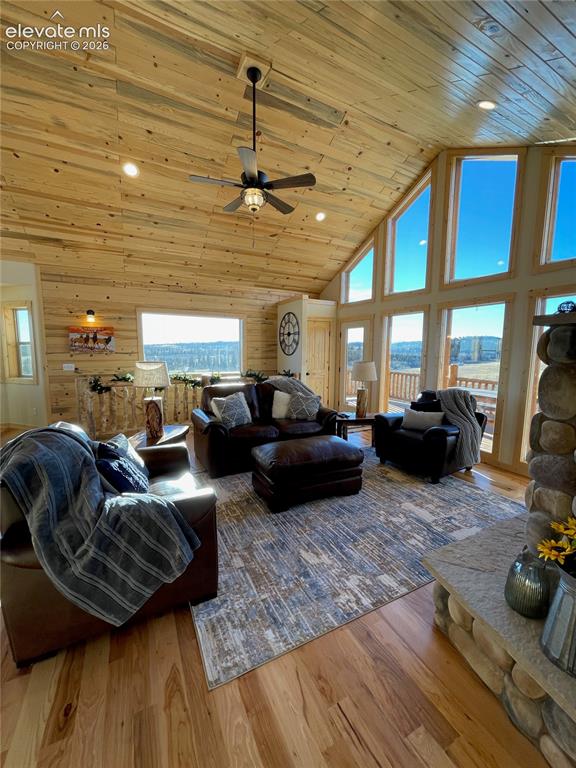 Image 11 of 34: Living Room