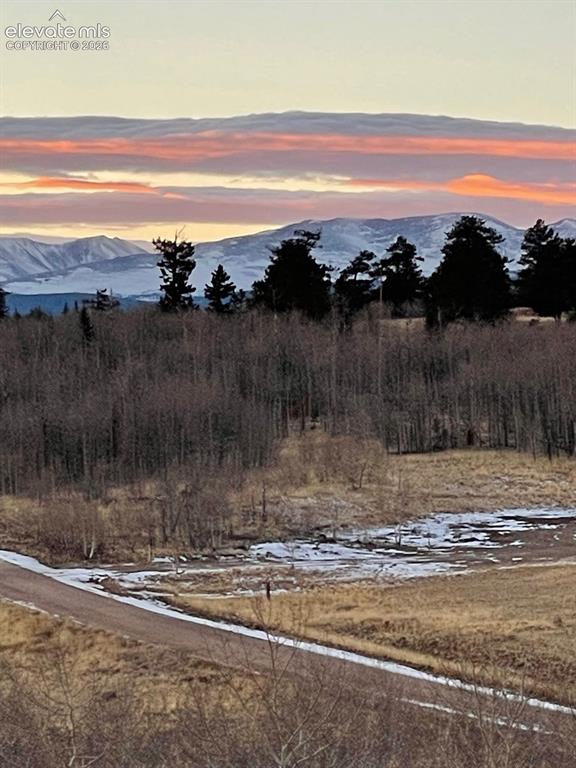 Image 6 of 34: View