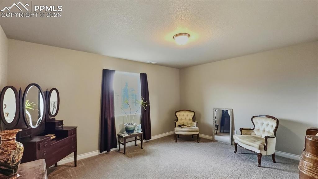 Image 41 of 50: Basement Bedroom #4
with neutral carpet and walk in closet.