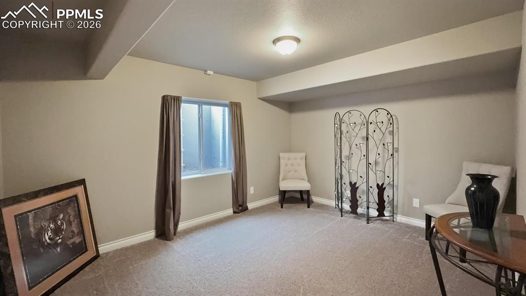 Image 45 of 50: Basement Bedroom #5 with neutral carpet and walk in closet.