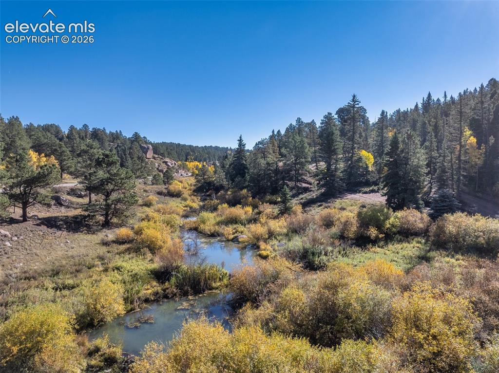 Image 18 of 50: Riparian landscape with a winding creek, varied tree coverage, and natural
