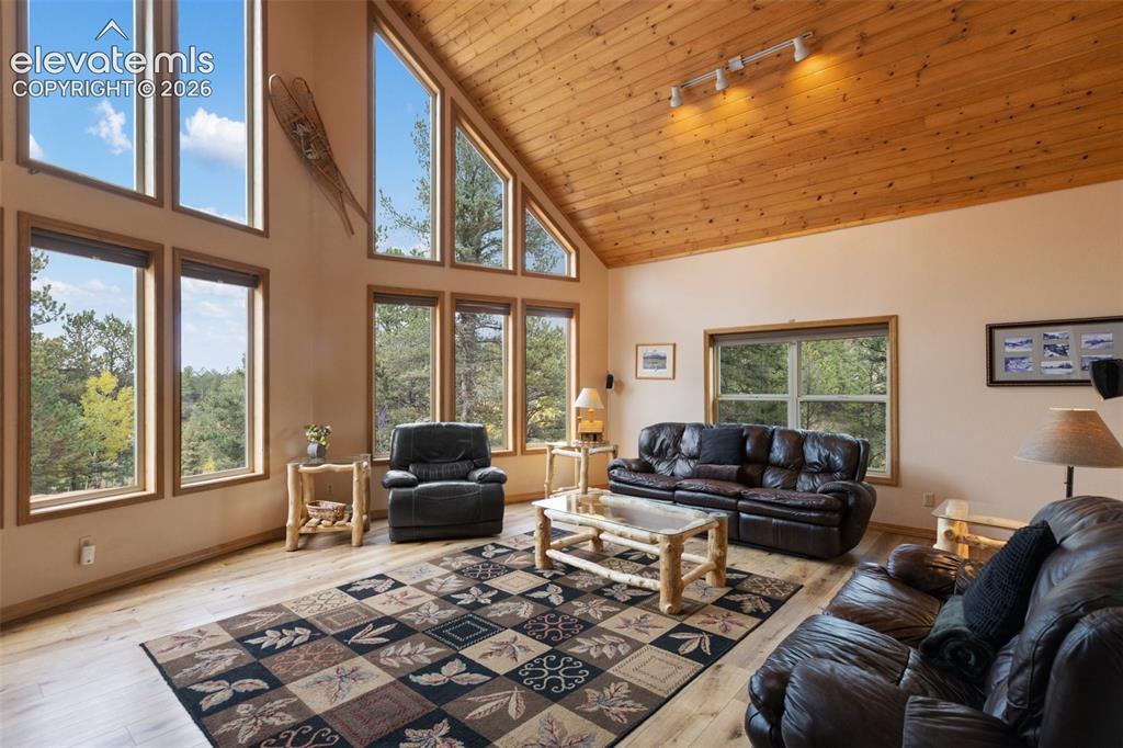 Image 25 of 50: Vaulted wood-paneled ceiling, expansive windows with wood trim, wood-finish