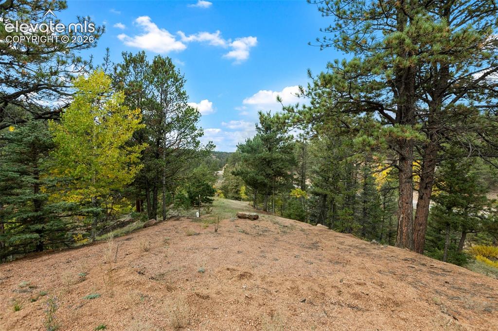 Image 41 of 50: Elevated terrain with mature trees and natural landscaping