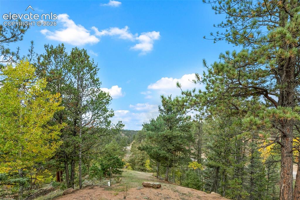 Image 42 of 50: Expansive property featuring abundant mature trees, varied natural foliage,
