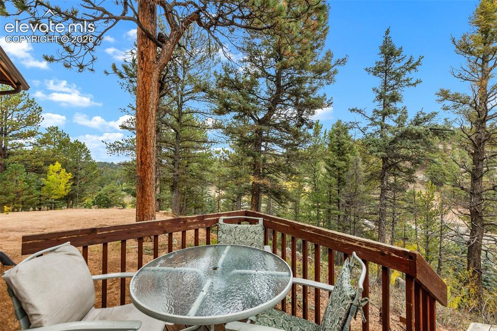 Image 49 of 50: Expansive natural surroundings featuring mature trees and a clear sky