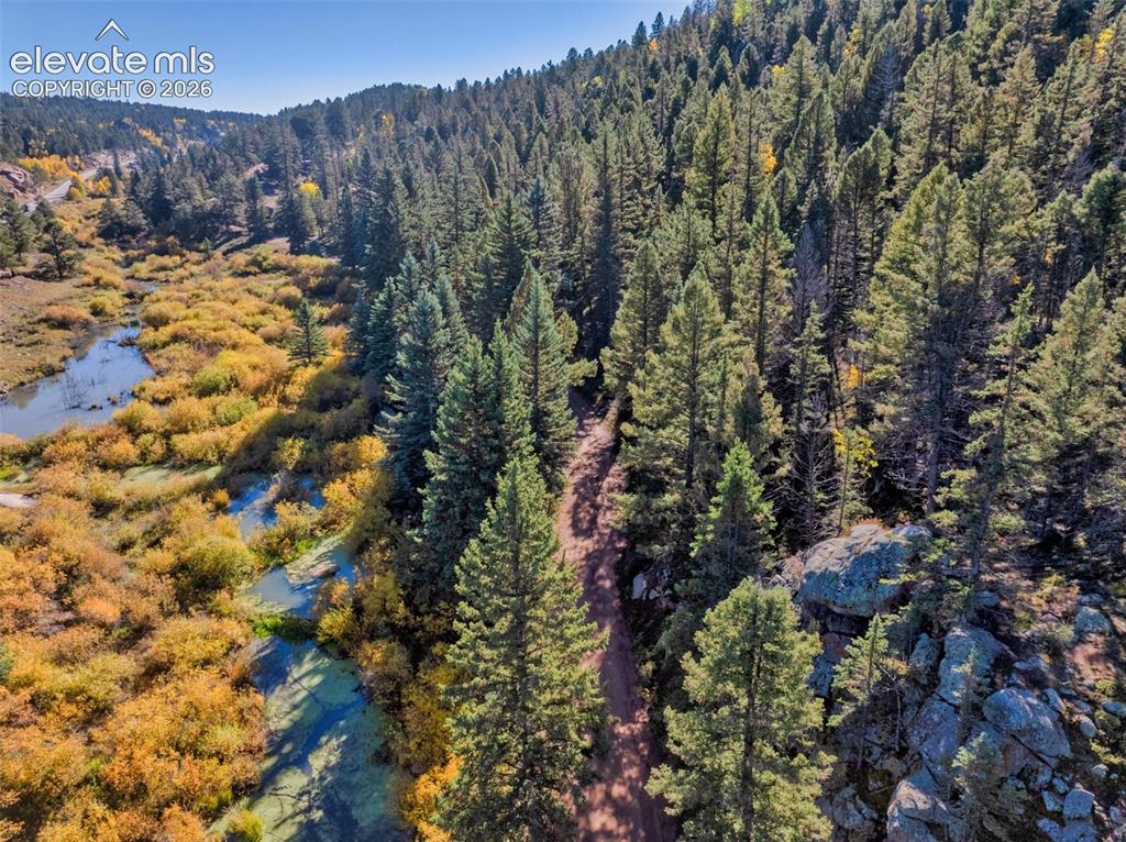 Image 6 of 50: Wooded terrain with evergreen trees, a meandering creek, and natural rock f