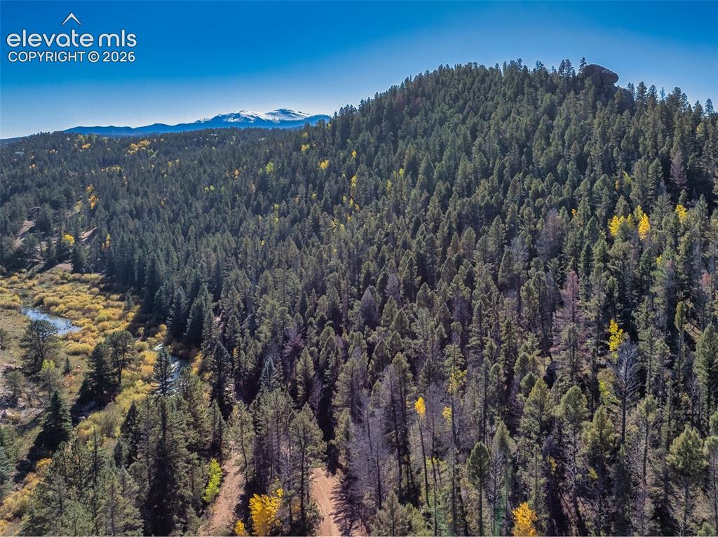 Image 8 of 50: Expansive forested terrain featuring a winding stream, distant snow-capped
