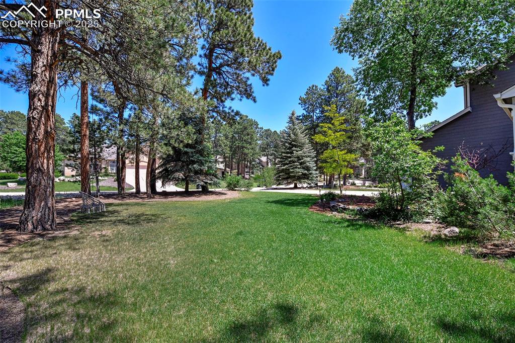 Image 47 of 47: View of grassy yard