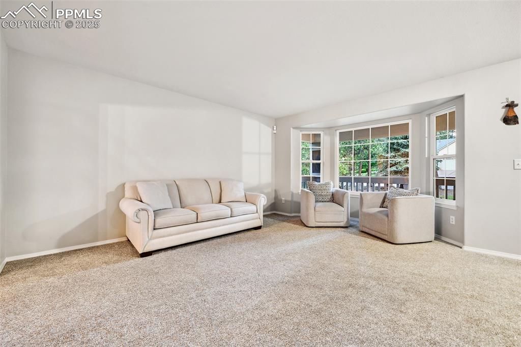 Image 6 of 47: Living room with carpet