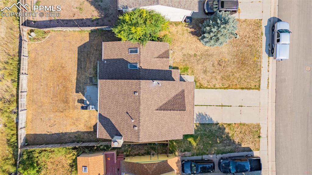 Image 24 of 30: Bird