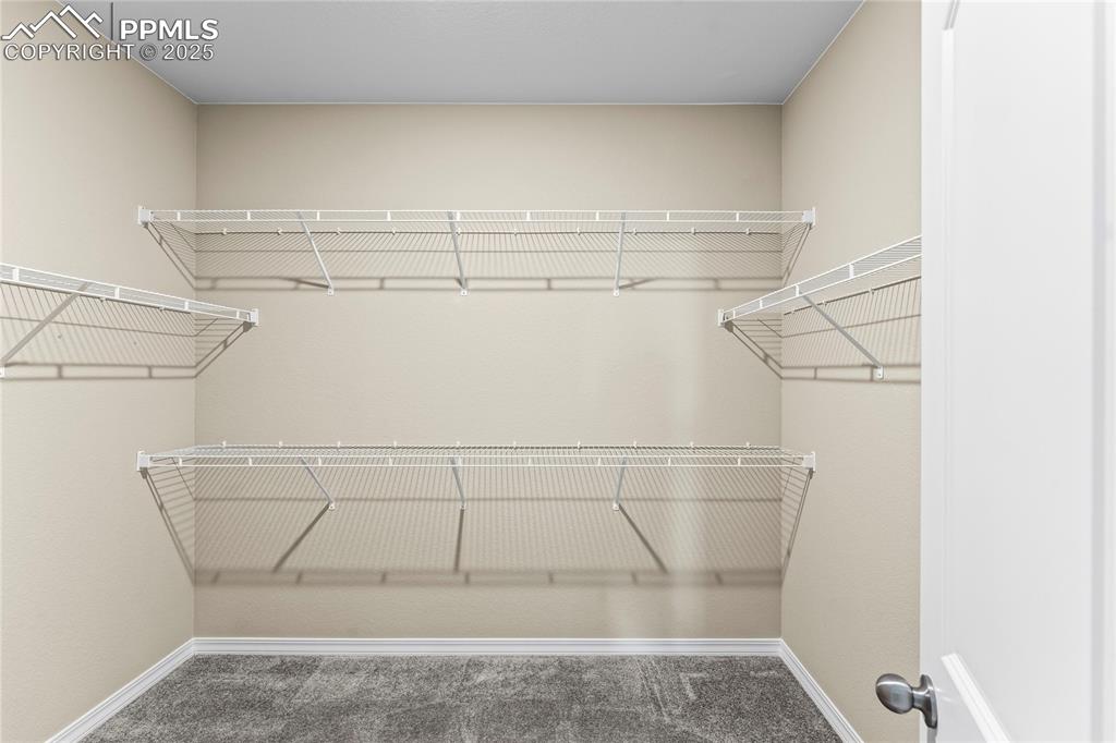 Image 24 of 45: Spacious closet with carpet floors