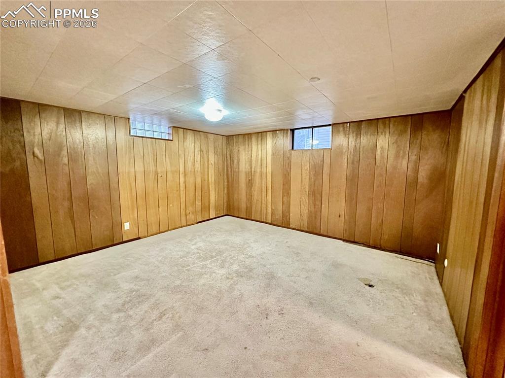 Image 21 of 28: Below grade area with wood walls and light colored carpet