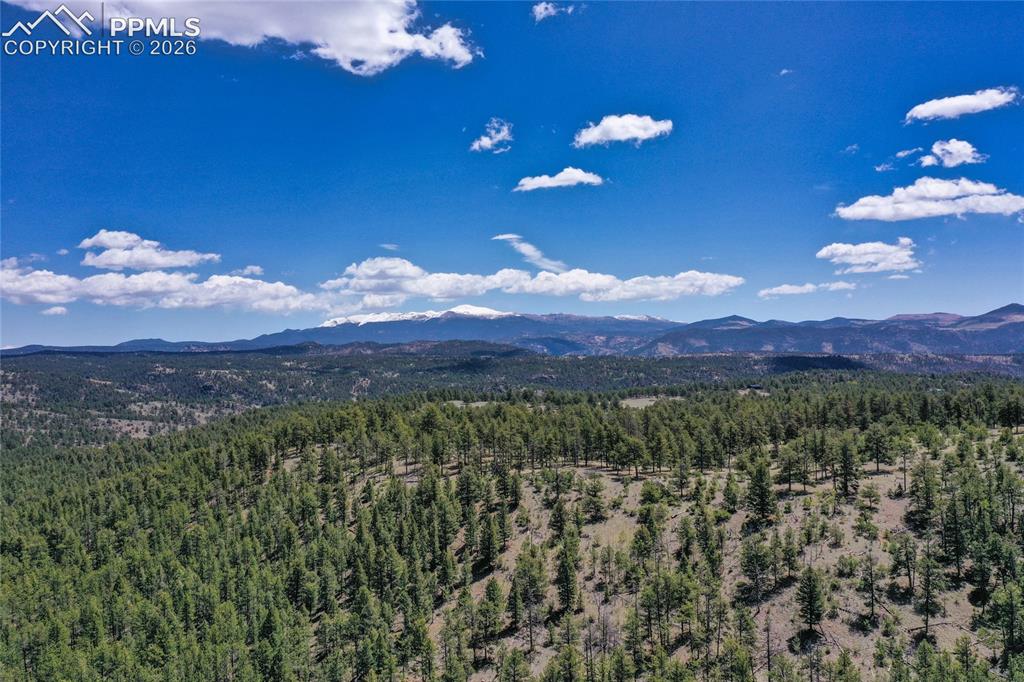 Image 26 of 33: These 100 acres have plenty to show you.