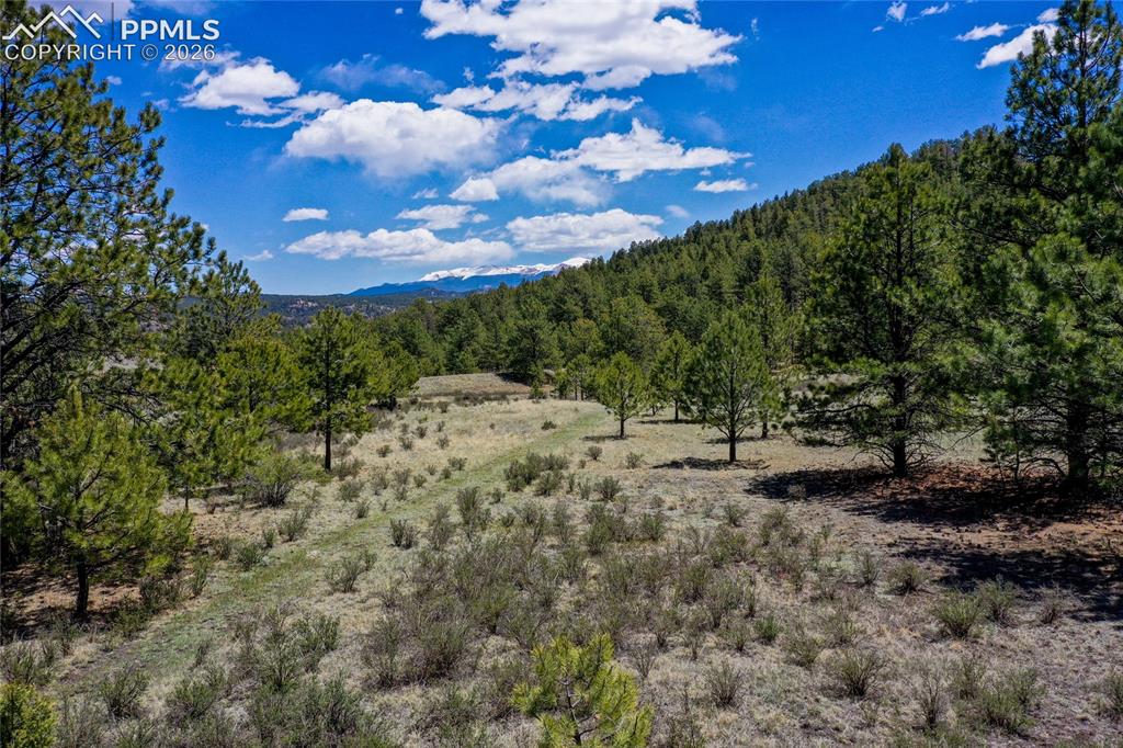 Image 31 of 33: Lace up those hiking boots, its time to walk these acres!