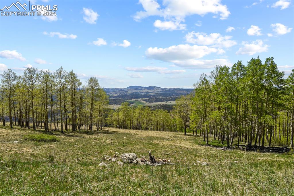Image 42 of 50: View of mountain view