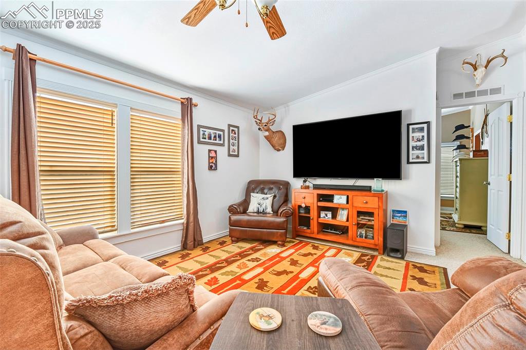 Image 15 of 29: Open Living Concept. Living Room with Large Windows, Views and Vaulted Ceil