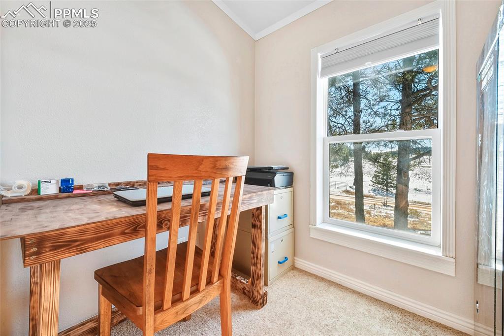 Image 29 of 29: Office Space with Large Window, Walk-in Closet and Adjoining Bath