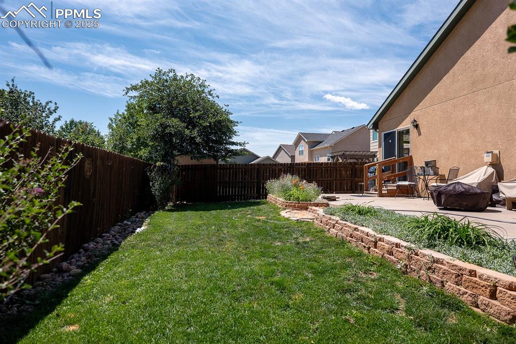 Image 35 of 37: Look green grass!!!